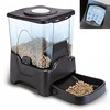 NEW Automatic Pet Dog Cat Feeder Large Capacity 4 Meal Timer Clock Voice Message