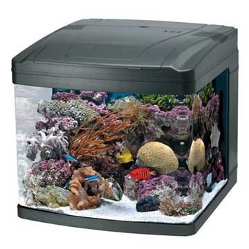 Oceanic 29 Gallon Biocube New in Box