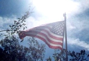 Tandem+car+trailer+plans